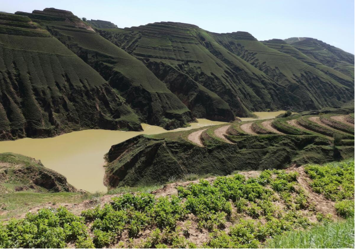 high-standard farmland